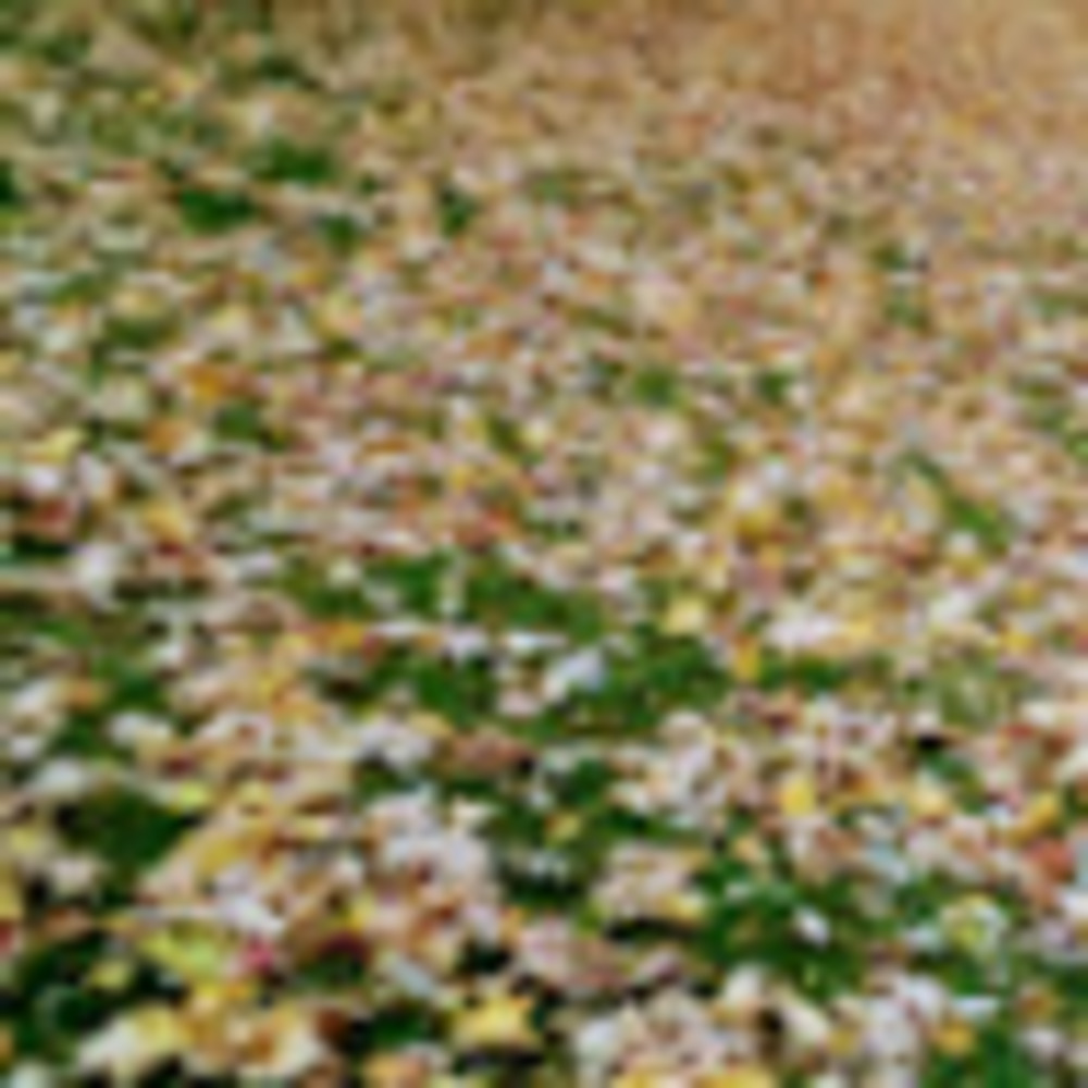 Meet your Posher, Cinderria